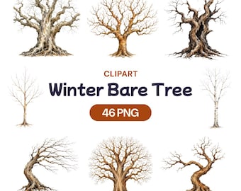 Watercolor Winter Bare Tree Clipart, Leafless Branches PNG, Spooky Dead Woods, Twisted Trunk Graphic, Rustic Nature Art