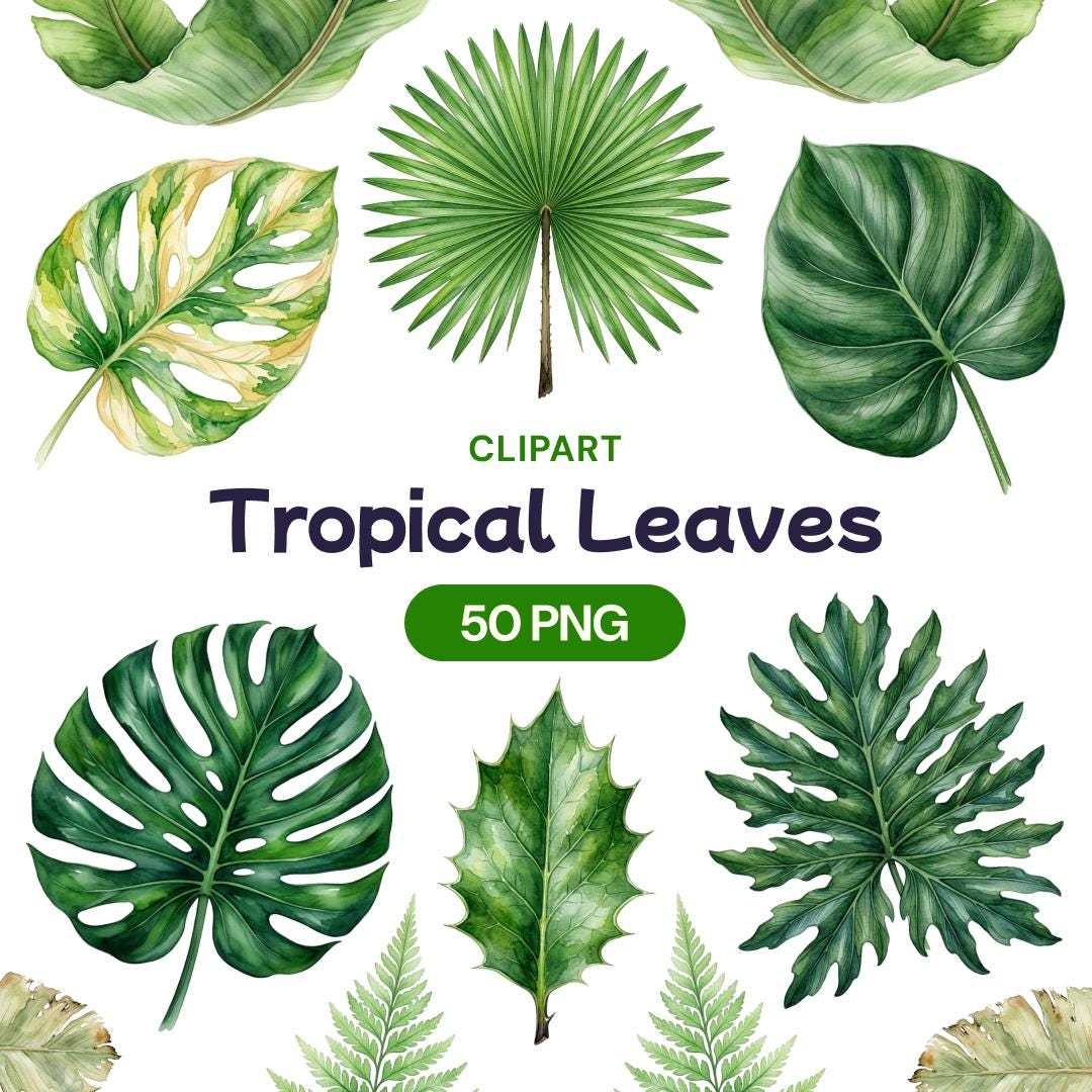  Watercolor Tropical Leaves Clipart, Jungle Foliage PNG, Botanical Palm Motiv 
