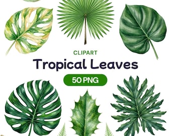 Watercolor Tropical Leaves Clipart, Jungle Foliage PNG, Botanical Palm Graphic, Summer Plant Art, Safari Decor