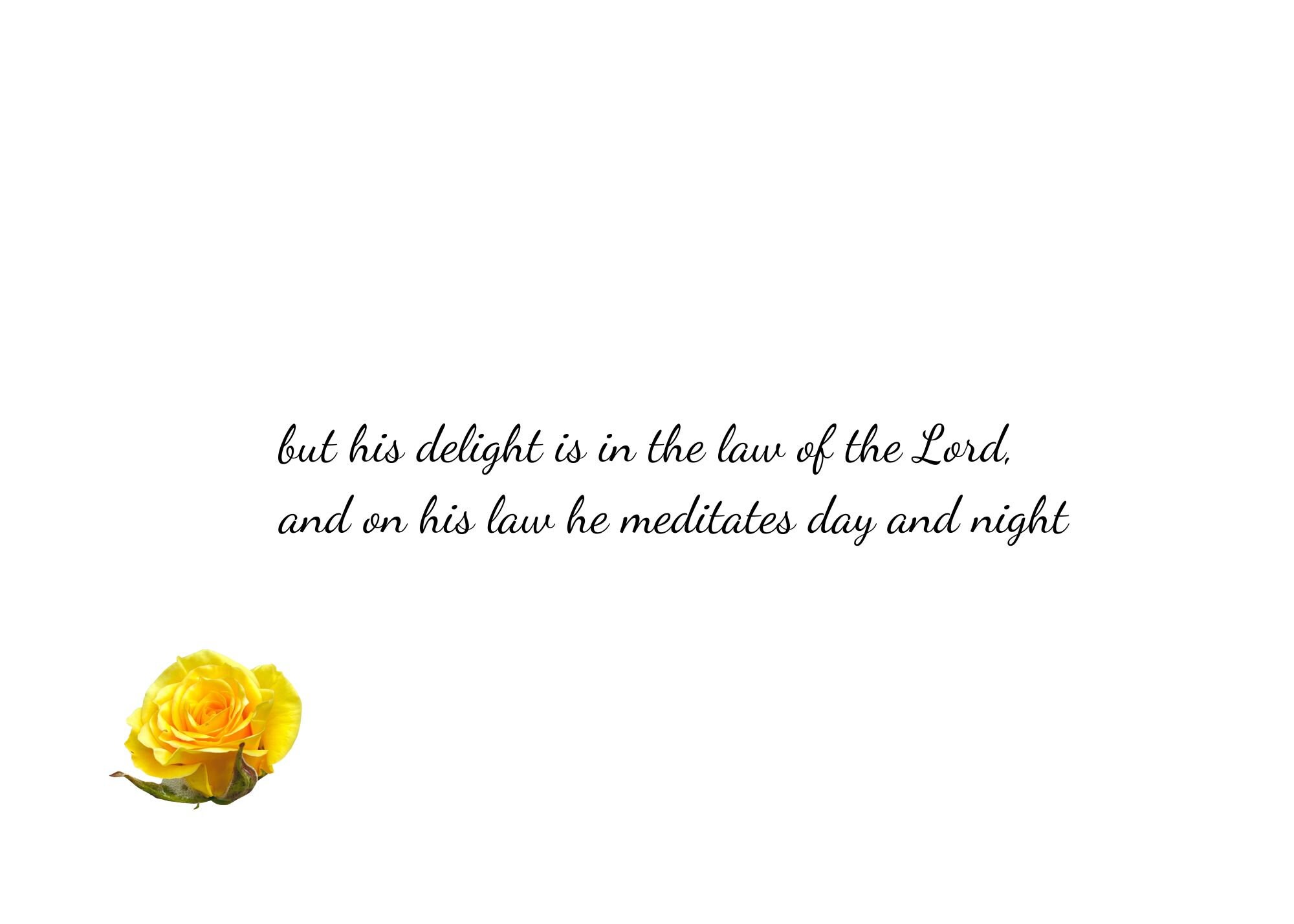 Psalm 1-english-scripture Card-digital Download-5x7 Inches ...