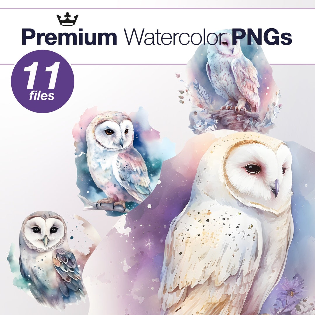 Celestial Owls Watercolor Clip Art Collection High Resolution ...