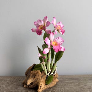 Handmade Cattleya Clay Orchids.