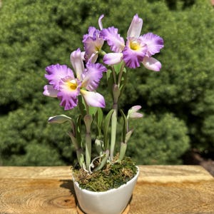 Handmade Cattleya Clay Orchids.