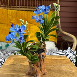 May include: A decorative artificial orchid arrangement featuring vibrant blue flowers and lush green leaves. The orchids are planted in a rustic, wood-like planter, creating a natural and elegant aesthetic. The arrangement is set on a wooden surface.