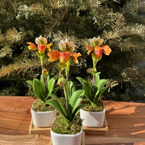 Handmade Lady Slipper Clay Orchid