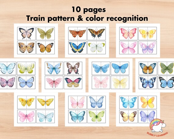 Buy 40 Butterfly Matching Card Game, Symmetry Puzzle, Butterfly