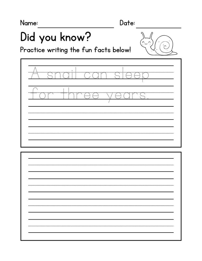 K&ouml;nnte beinhalten: Ein schwarz-wei&szlig;es Arbeitsblatt mit dem Text "Did you know?" und "Practice writing the fun facts below!"  Oben auf der Seite befindet sich eine Schneckenillustration. Das Arbeitsblatt hat linierte Felder zum Schreiben des Satzes "A snail can sleep for three years."