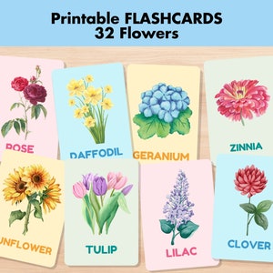 32 Blumen Bildkarten, Blumenwortschatz Naturkarten, druckbare Montessori-Bildkarten, geblümte Aktivität für Vorschulkinder, Lernn Sie Naturaquarell