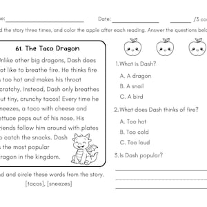 1st Grade Reading Comprehension Worksheet Bundle 80 Page Printable PDF, Stories with Questions Homeschool, Reading Fluency Passages ELA image 8