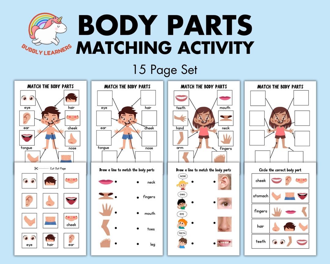 Mtiny Body Part How Many Body Parts Worksheet