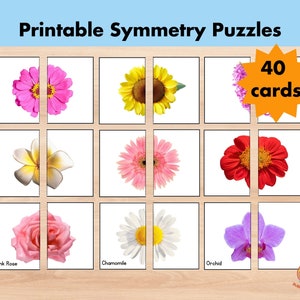 40 echte Blumen Memory-Spiel für Kinder, Symmetrie-Puzzle, Frühling Natur, druckbare Kleinkind Vorschule Montessori Karteikarten