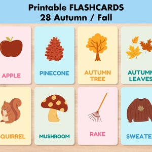 28 Flashcards de Outono, Vocabulário de Outono Cartões da Natureza, Cartões de Memória Montessori para Imprimir, Atividade de Outono Pré-Escolar, Volta às Aulas Educacional