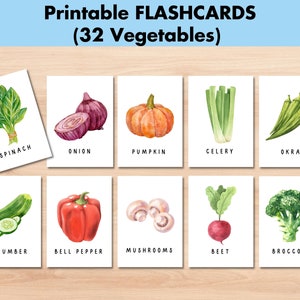 Cartes-éclair sur les légumes, Fiches de vocabulaire imprimables, Activités pour l'école à la maison, Activité de maternelle préscolaire, Apprendre les plantes du jardin, Téléchargement numérique