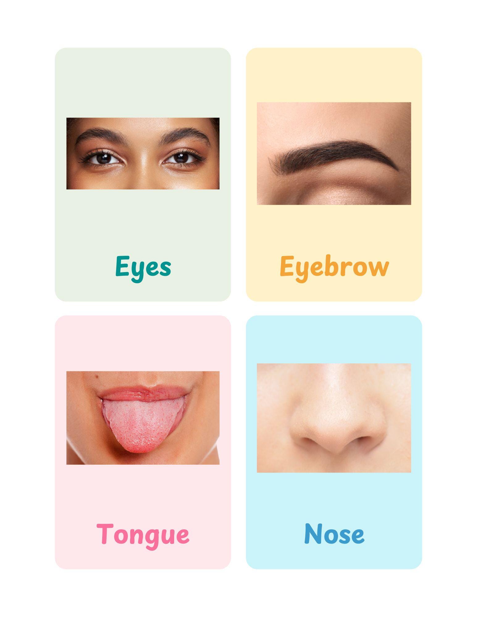 24 Body Parts Flashcards, Printable Bodyparts Flash Cards, Real Photo ...