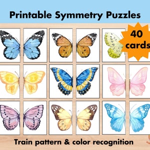 40 Butterfly Matching Card Game, Symmetry Puzzle, Butterfly Pattern Cards, Printable Toddler Preschool Montessori Flashcards, Match Picture