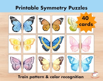 40 Butterfly Matching Card Game, Symmetry Puzzle, Butterfly Pattern Cards, Printable Toddler Preschool Montessori Flashcards, Match Picture