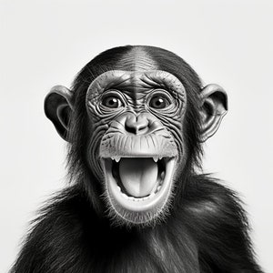 Chimpanzee Wall Art Poster, Funny Chimpanzee Instant Download art printable, Chimpanzee Poster Art, Whimsy Animal Art, Kids art poster