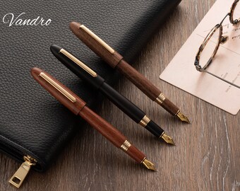 Vandro Set Regalo Penna Stilografica Di Lusso Con Pennino Fine, 10 Cartucce, Inchiostro Nero E Convertitore - Confezione Elegante