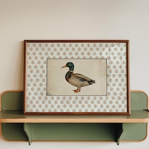 May include: A framed duck illustration with a brown wooden frame, set against a patterned background. The artwork rests on a green and tan shelf, creating a vintage aesthetic. The duck is depicted in natural colors, adding a touch of nature to the decor.