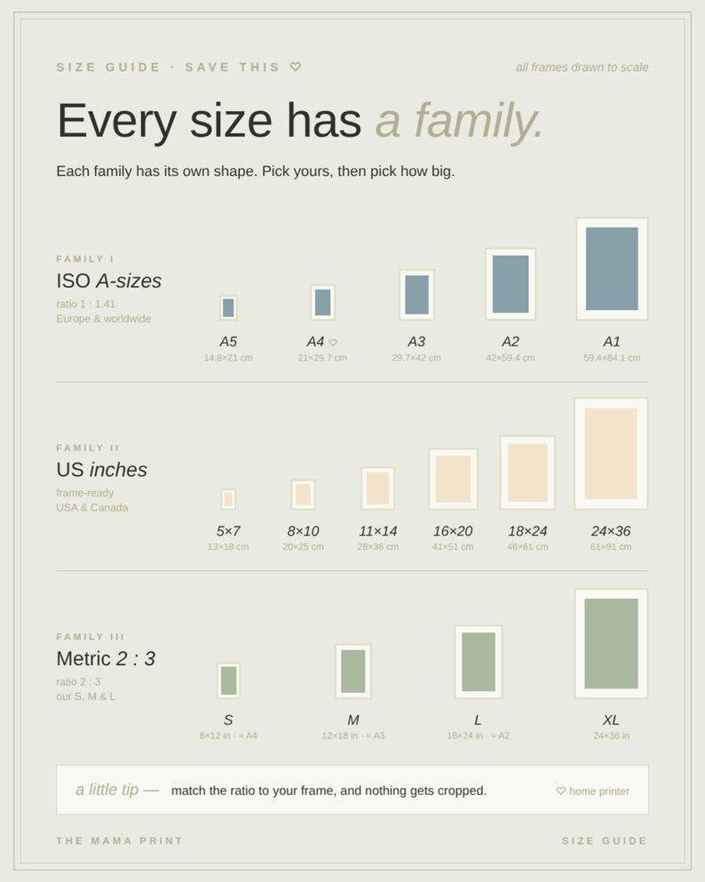 May include: A size guide chart titled Every size has a family, displaying three categories of frame dimensions: ISO A-sizes in centimeters, US inches, and Metric 2:3 ratios. The chart includes various rectangular icons representing different print sizes.