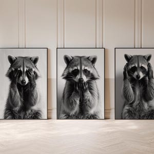 See Hear Speak No Evil Raccoon Prints, Black & White Animal Prints,Cute Wildlife Photography Art Set,Modern Raccoon Wall Art for Living Room