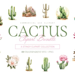 Pacchetto Clipart Cactus - 80 disegni / SVG e PNG / Alta risoluzione / Vivace e dettagliato / Per uso commerciale