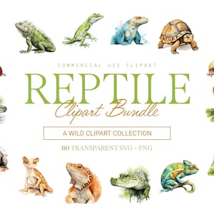 Pacote de clipart de répteis - 80 designs | SVG e PNG | Alta resolução | Répteis Vívidos e Realistas | Para uso comercial