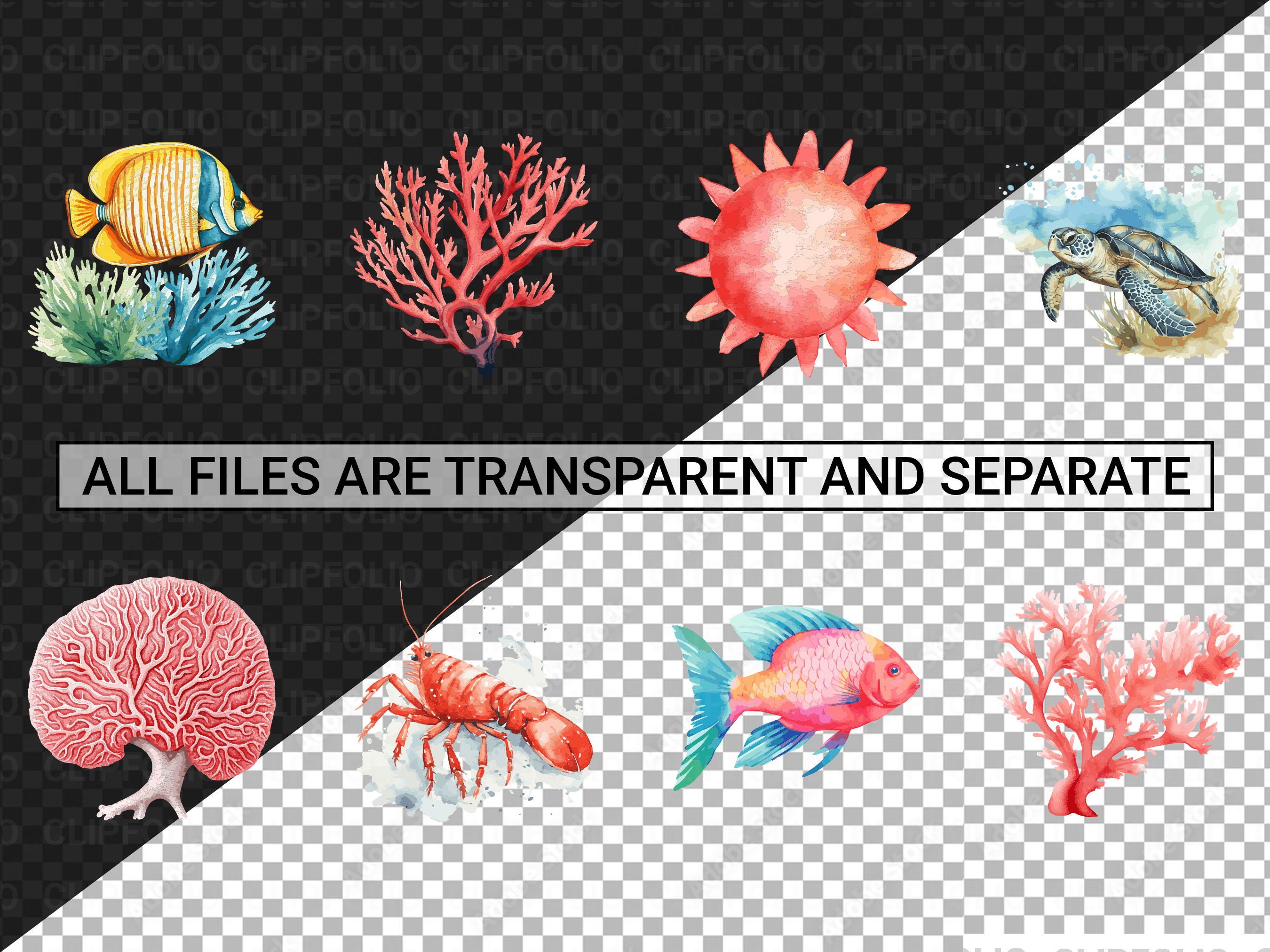 Coral Reef Clipart Bundle 80 Designs SVG & PNG High Resolution Vibrant ...