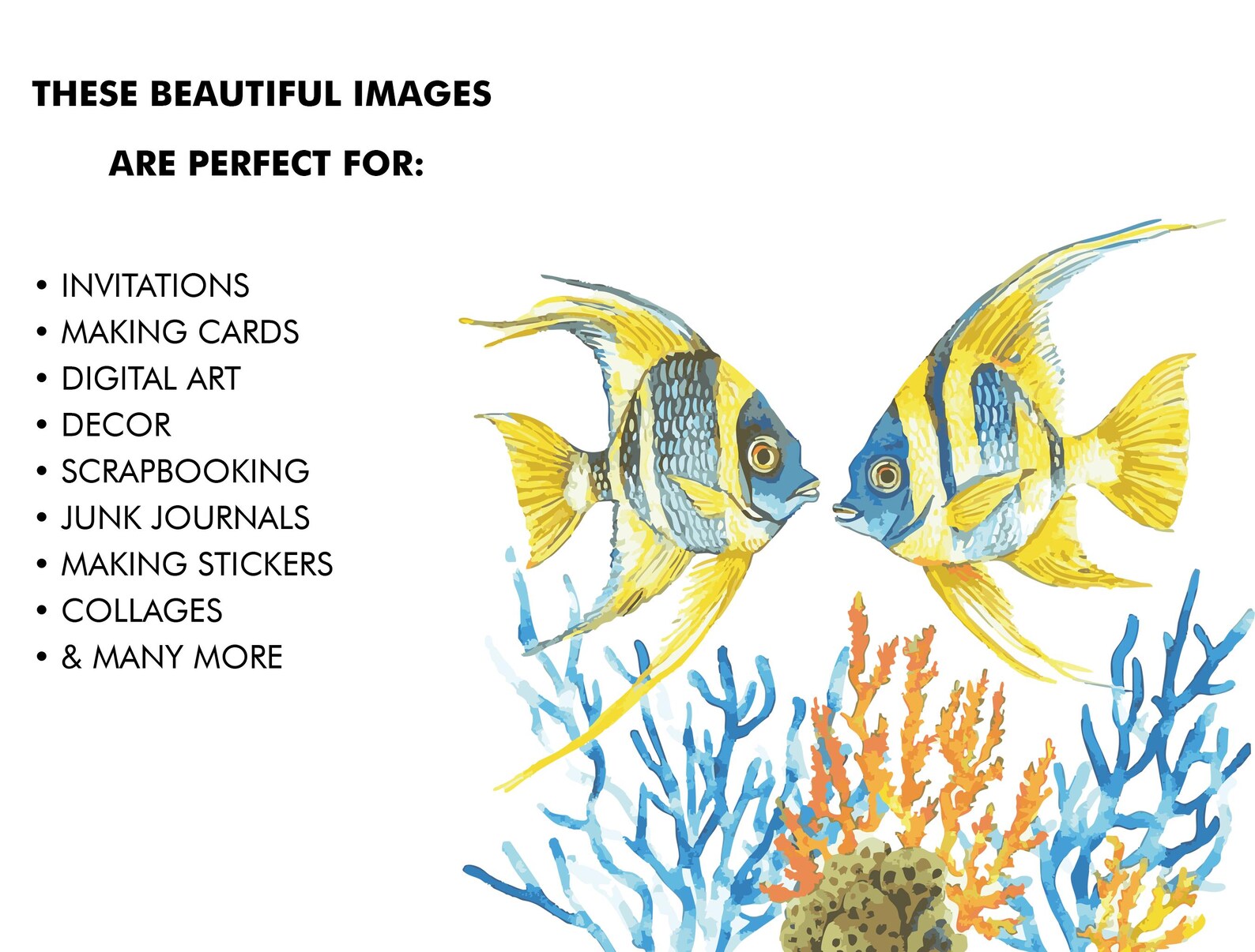 Angelfish Clipart Bundle: 102 Marine Art Designs, SVG & PNG - Etsy