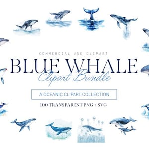 Blue Whale Clipart Bundle, 100 Designs, SVG and PNG, Cute and Adorable Marine Art, Commercial Use