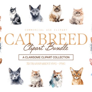 Lot de cliparts de race de chat - 72 modèles | SVG et PNG | Haute résolution | Adorable et réaliste | Pour un usage commercial