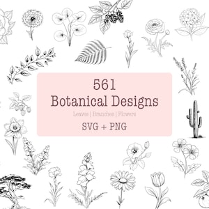 Botanische tuin illustratiepakket - 561 ontwerpen | SVG- en PNG | Hoge resolutie | Planten en bomen | Voor commercieel gebruik