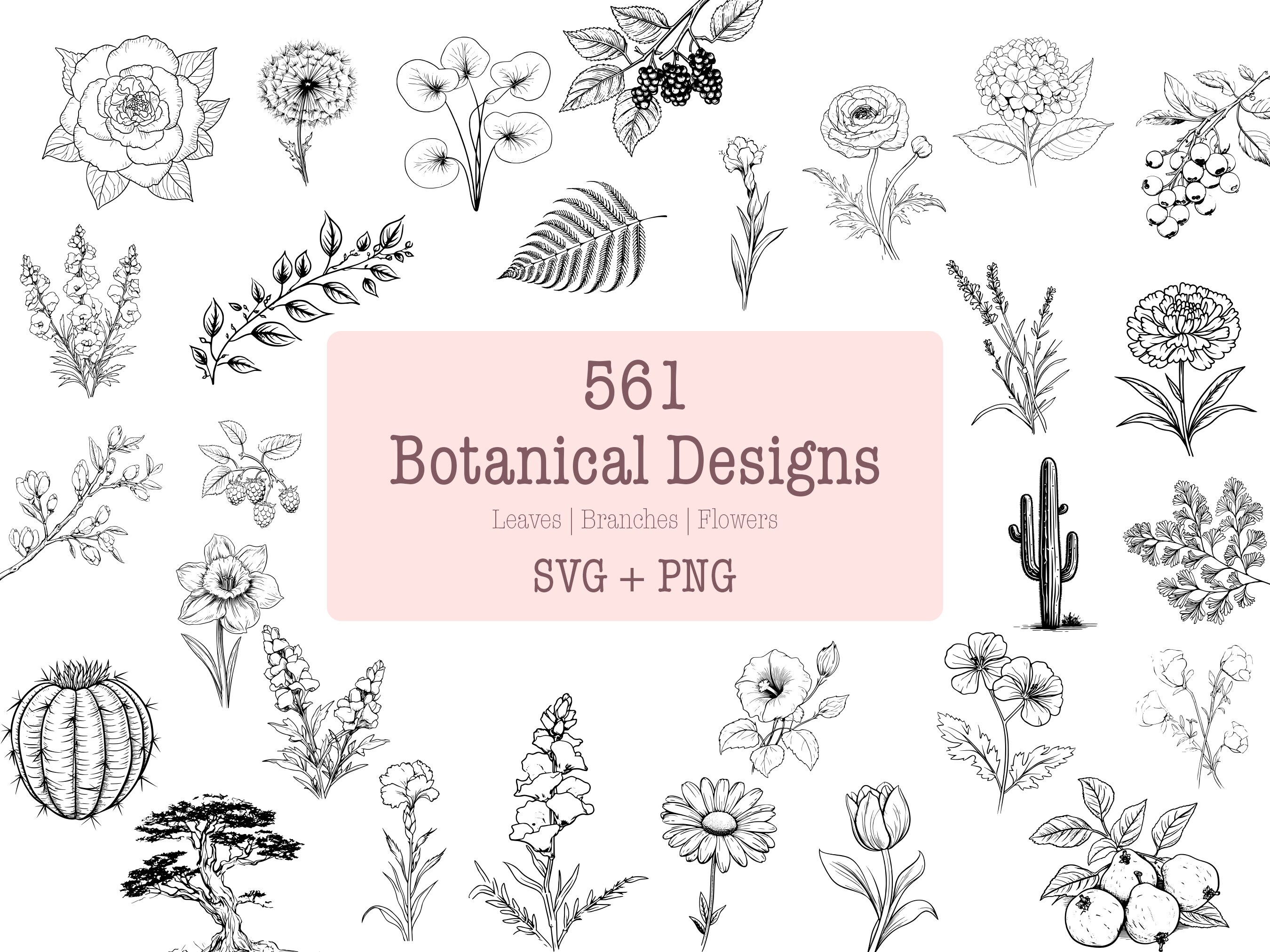 Botanischer Garten Illustration Pack - 561 Designs | SVG & PNG | Hohe Auflösung | Pflanzen und Bäume | Für kommerzielle Nutzung