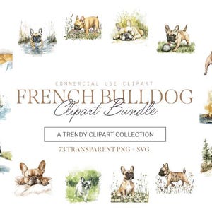 Bulldog Clipart Bundle, 73 Design, SVG e PNG, Arte di cani carina e adorabile, Uso commerciale
