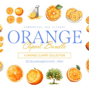 Pacote de clipart laranja - 72 designs | SVG e PNG | Alta resolução | Vivo e Vibrante | Para uso comercial