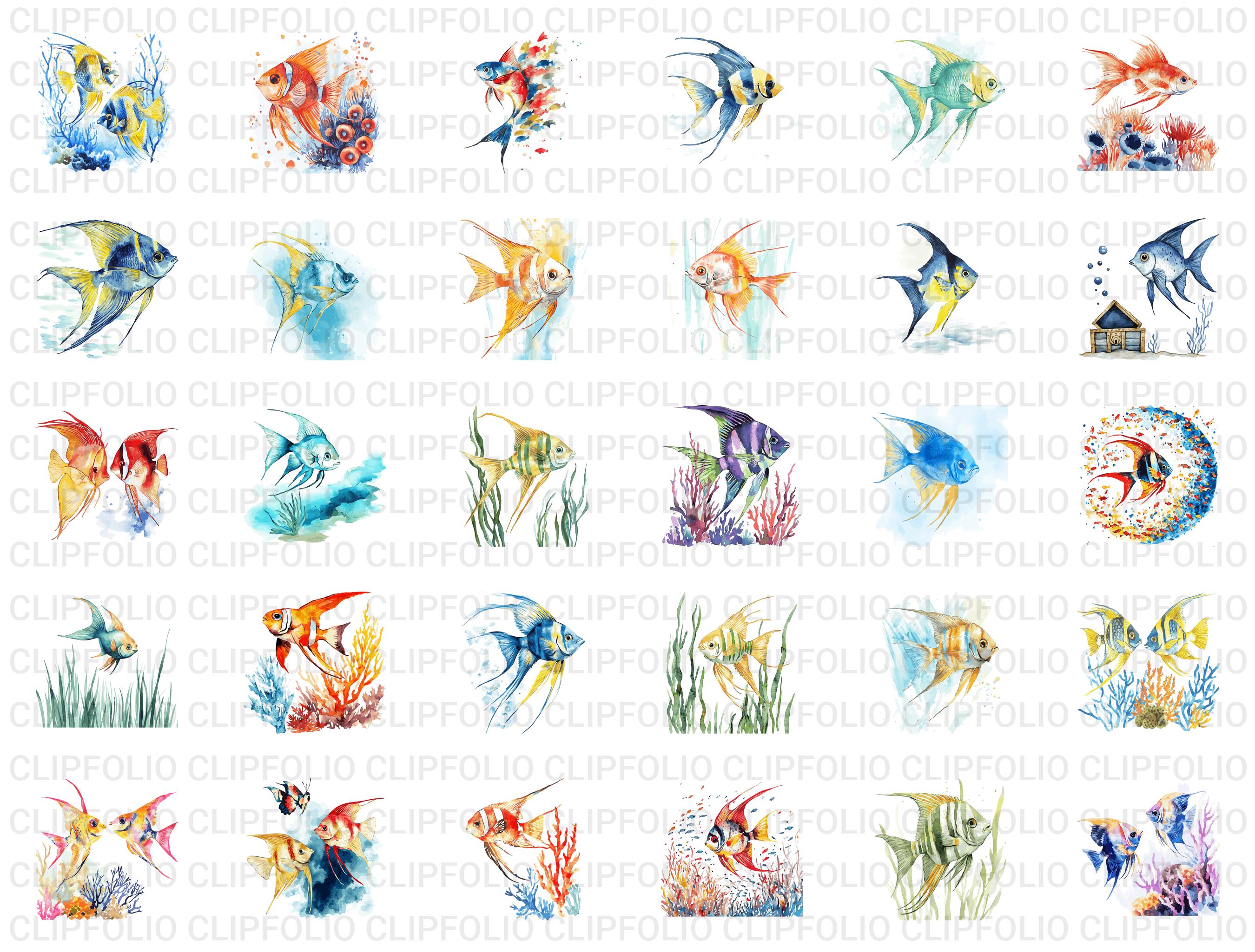 Angelfish Fish Graphics Angelfish Clipart Bundle: 102 Marine Art Designs, SVG & PNG - Etsy