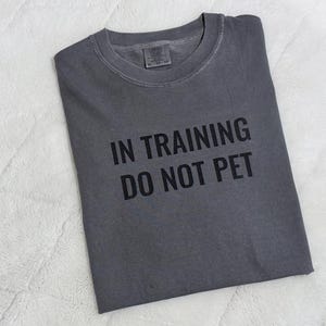 May include: A charcoal gray crew neck t-shirt featuring the black text IN TRAINING DO NOT PET printed on the front. The garment has a standard short-sleeve design with a visible brand label inside the collar area at the neckline.