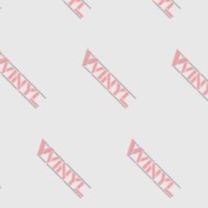 WE THE PEOPLE Windshield Banner Decal (White)
