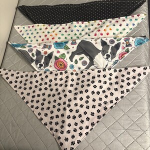 Pet Bandana, Medium