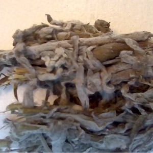 Pode incluir: Um monte de ervas secas de cor cinza claro e marrom. As ervas estão agrupadas e têm uma textura áspera e fibrosa.