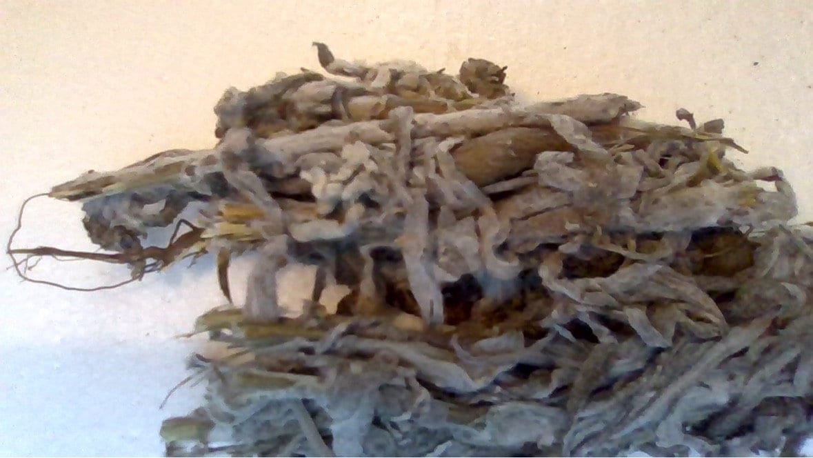 ハピワン　漳平6P✖️2 正山　馬頭岩6p 鳳凰50g ジャスミン2種計7品 Fey Camomine - Etsy Israel