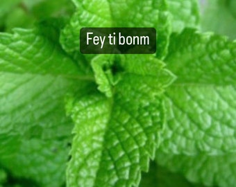 Fey Ti Bonm sèche