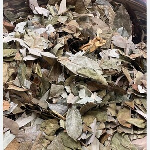 May include: A close-up of a bowl filled with dried, light brown and green leaves. The leaves are various sizes and shapes, and some are broken into smaller pieces.