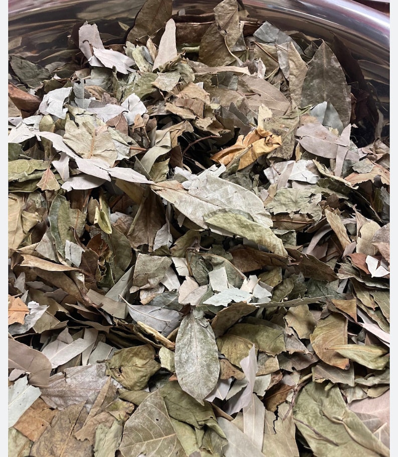 May include: A close-up of a bowl filled with dried, light brown and green leaves. The leaves are various sizes and shapes, and some are broken into smaller pieces.