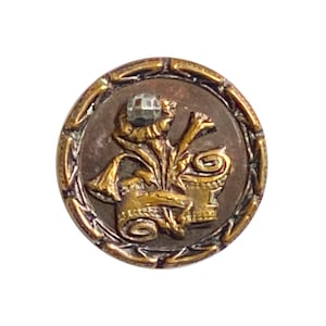 Antique Plant Life/Object Picture Button, Morning Glories in a Scroll