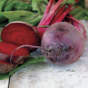 BEETS - DETROIT Dark RED Beetroot Beet Seeds - Heirloom Qty: 125