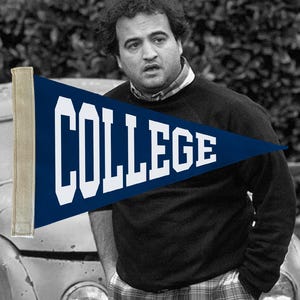 Custom College Pennant | Handcrafted | Vintage Inspired | Grad Gift | Dorm Decor | Home Decor | Office Decor | School Spirit | Wall Art