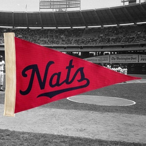 Nats Pennant | Handcrafted Vintage Style | Washington Nationals | Baseball | Canvas | Home Decor | Wall Art | Rustic Look