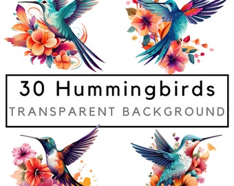 Hummingbird clipart, watercolor birds, colibri, junk journal graphic, humming bird png, water color bird clip art, commercial use, 30 images