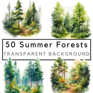 Summer forest, forest clipart, summer landscape, nature clipart, forest wedding, landscape png, commercial use, 50 drawings